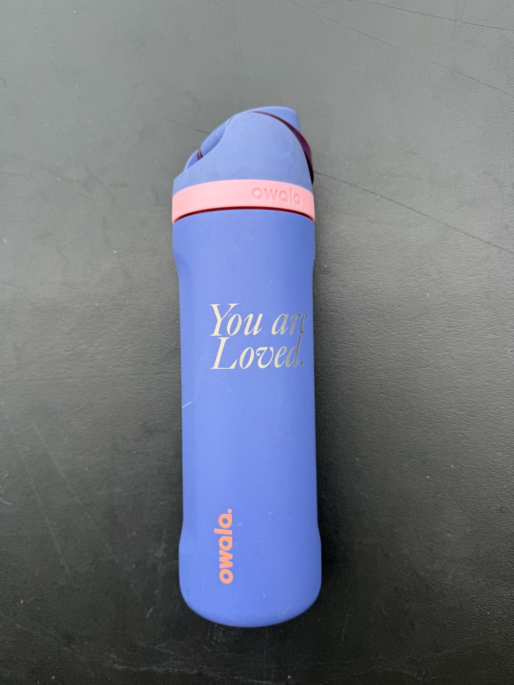 Owala 'You are Loved.' Blue & Pink Insulated Water Bottle